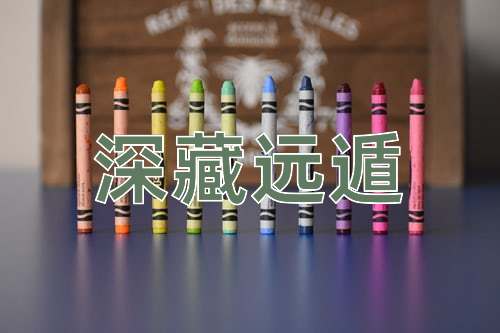 成语深藏远遁