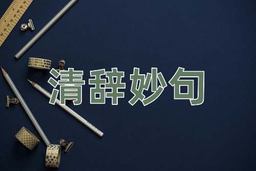 成语清辞妙句