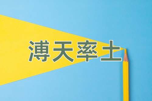 成语溥天率土