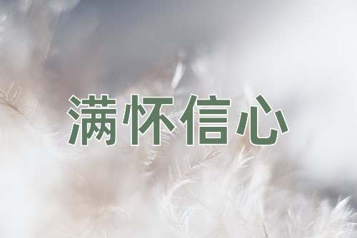 成语满怀信心