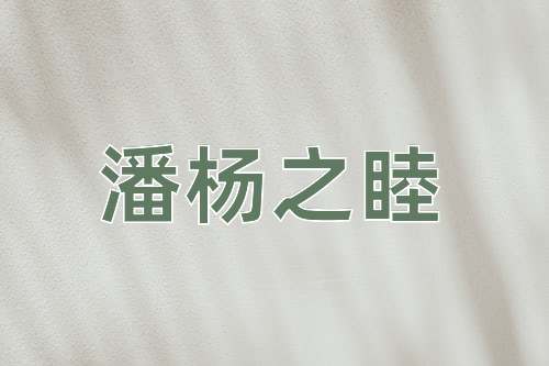成语潘杨之睦