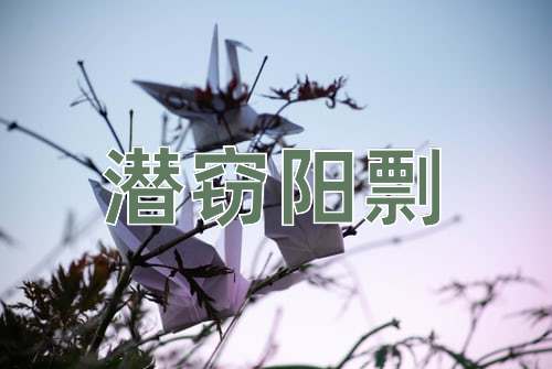 成语潜窃阳剽
