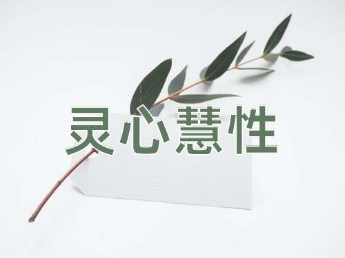 成语灵心慧性