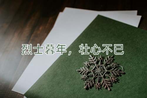 成语烈士暮年，壮心不已