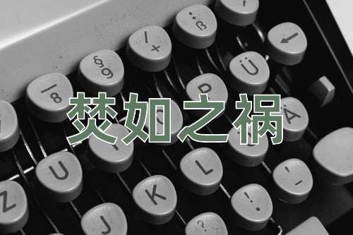 成语焚如之祸