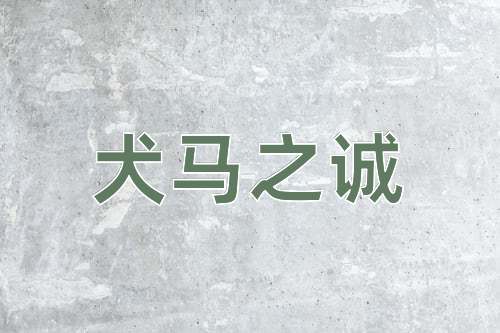 成语犬马之诚