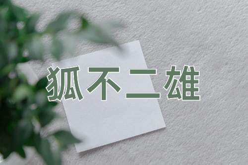 成语狐不二雄
