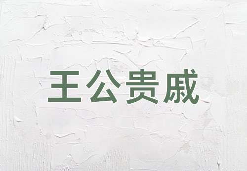 成语王公贵戚