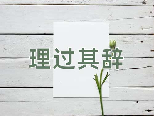 成语理过其辞