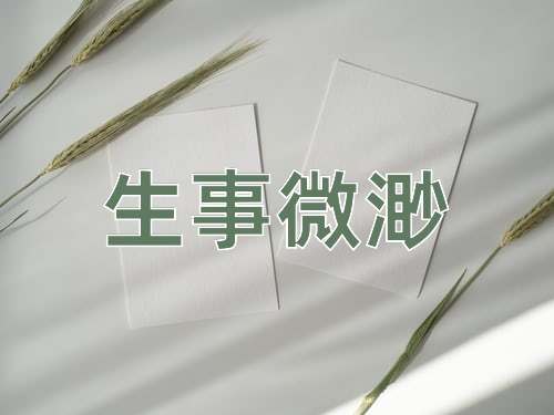 成语生事微渺