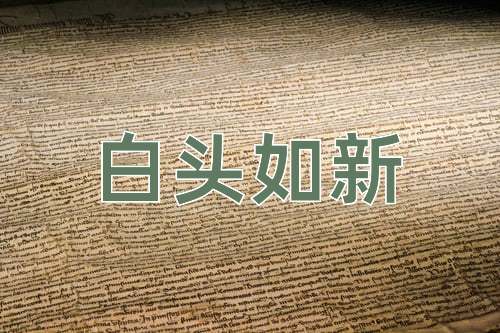 成语白头如新