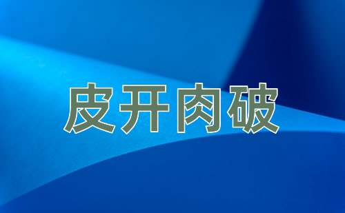 成语皮开肉破