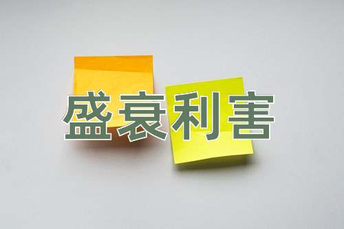 成语盛衰利害