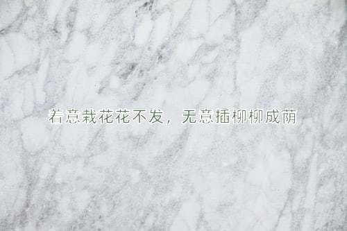 成语着意栽花花不发，无意插柳柳成荫