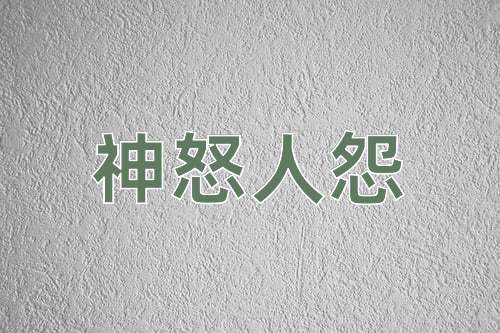 成语神怒人怨