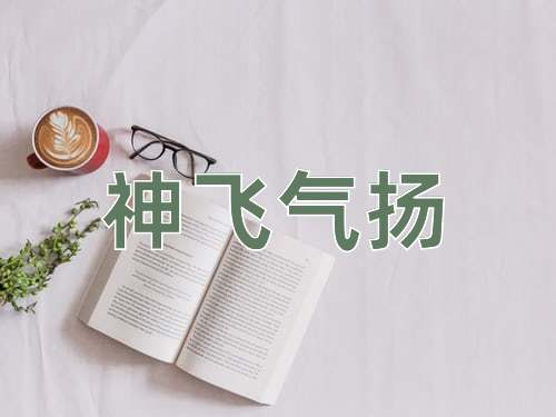 成语神飞气扬