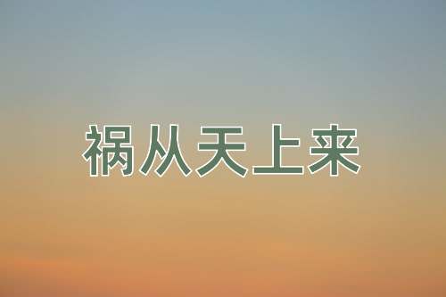 成语祸从天上来
