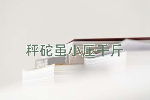 成语秤砣虽小压千斤