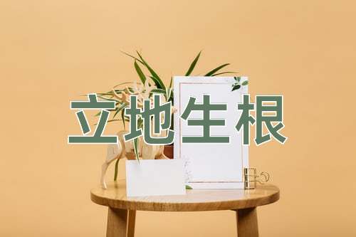 成语立地生根