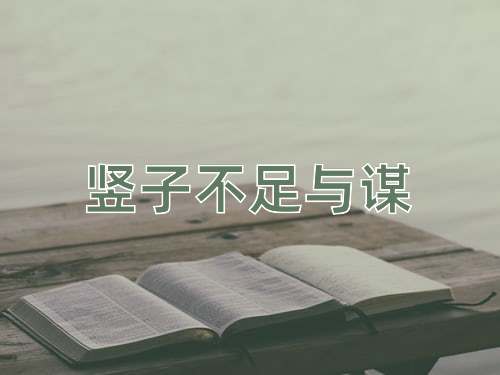 成语竖子不足与谋