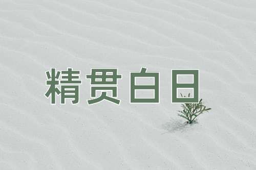 成语精贯白日