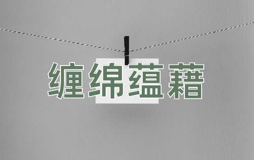 成语缠绵蕴藉