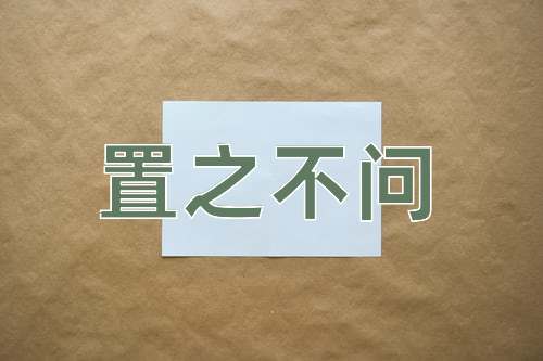 成语置之不问