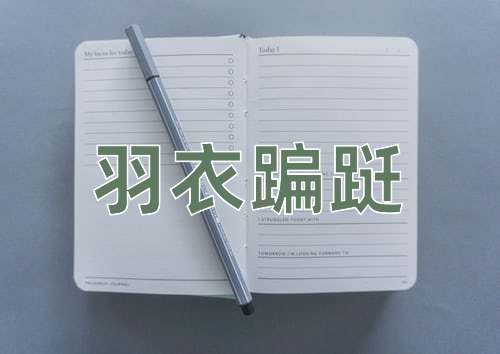 成语羽衣蹁跹