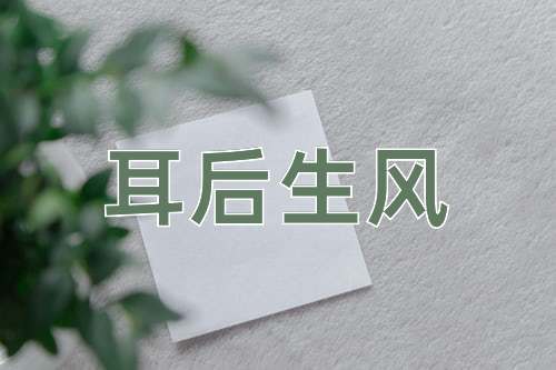 成语耳后生风