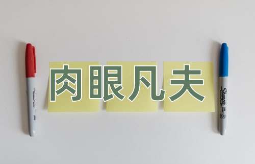 成语肉眼凡夫