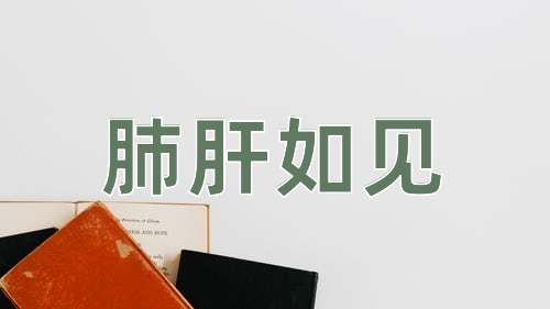 成语肺肝如见