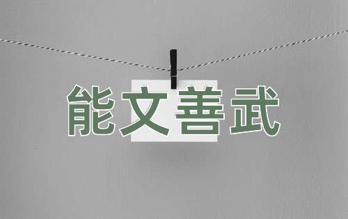 成语能文善武