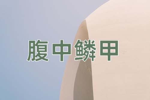 成语腹中鳞甲