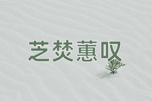 成语芝焚蕙叹