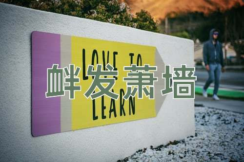 成语衅发萧墙