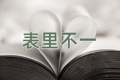 成语表里不一