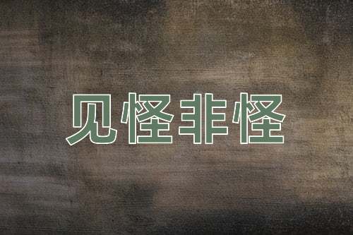 成语见怪非怪