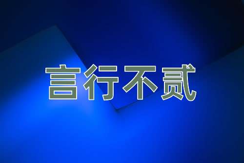 成语言行不贰