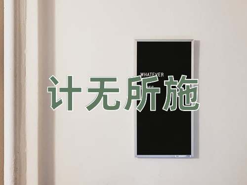 成语计无所施