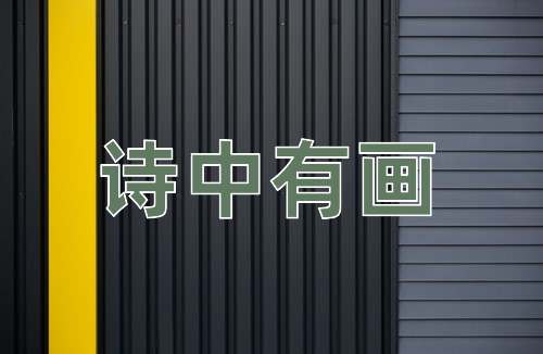 成语诗中有画