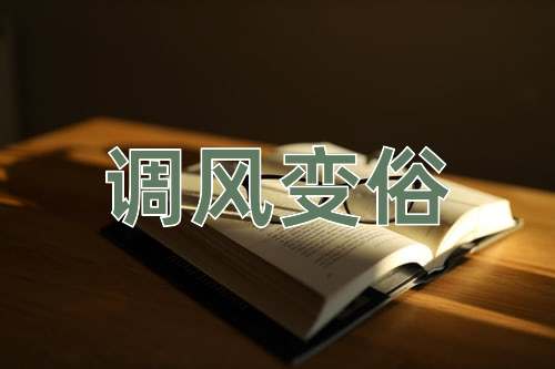 成语调风变俗