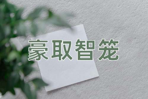 成语豪取智笼