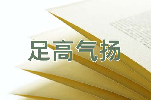 成语足高气扬