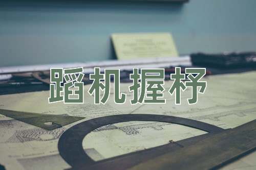 成语蹈机握杼