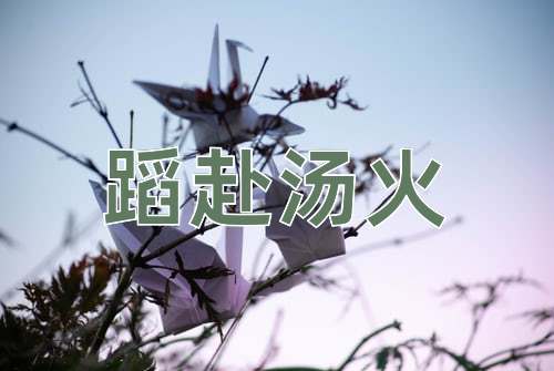 成语蹈赴汤火