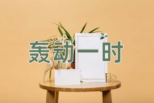 成语轰动一时