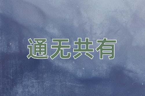 成语通无共有