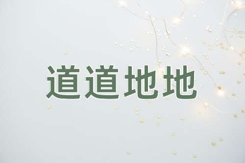 成语道道地地