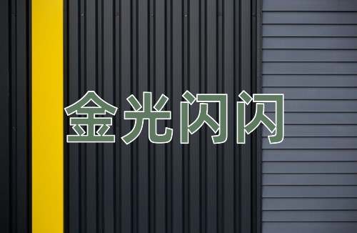 成语金光闪闪