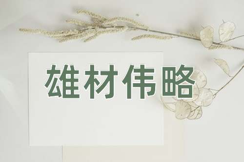 成语雄材伟略